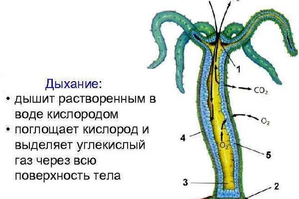 Где купить наркотиков