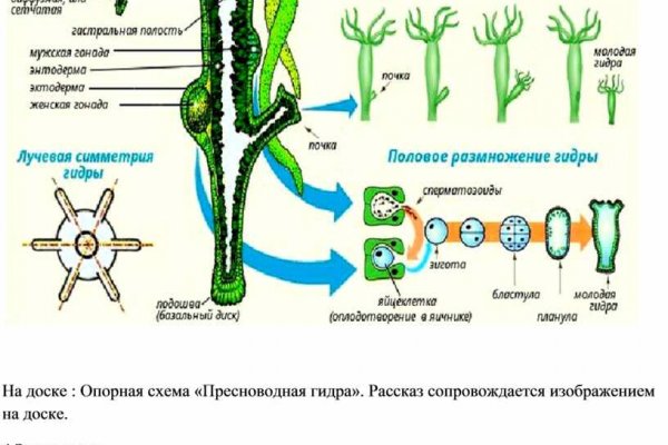 Ссылка кракен не работает