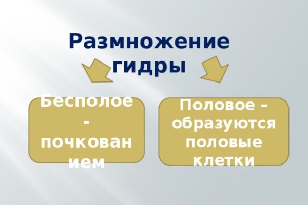 Нарко маркетплейсы