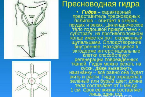 Кракен ссылка kraken dark link